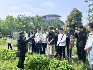 太阳贵宾厅开展“橘泉书院-本草学堂...